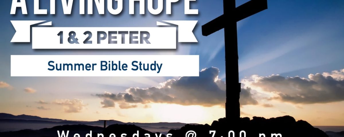 Summer-Bible-Study-71923