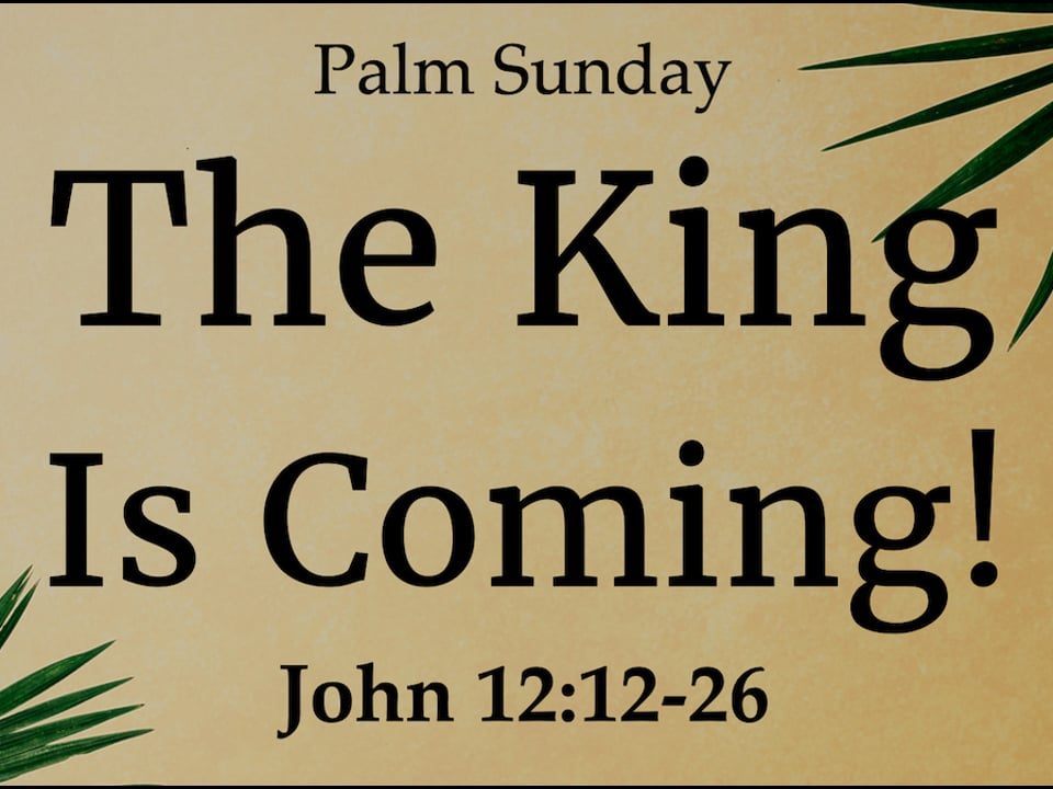 The-King-is-Coming-John-1212-26